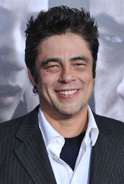 Benicio del Toro — The Movie Database (TMDB).